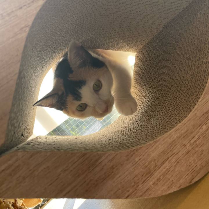 4b37b2cb 420c 4779 8c38 77fb8417b5b7 1671325545913