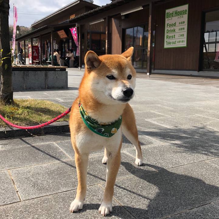 4b37bead b73b 4b5c 8822 b530079cc7a9 1523178442865