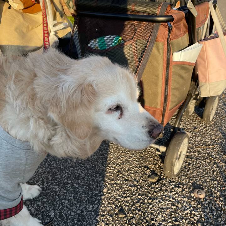 4b37fe2c 67b8 4fc1 b02b 694a13567060 1671553567679