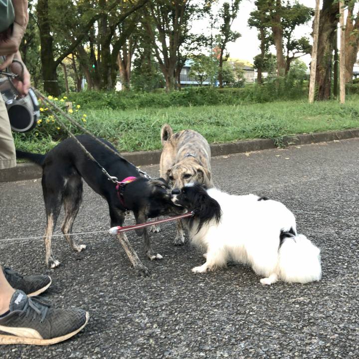 4b381382 eaf4 4d2e 9751 255e8667257b 1534976758934