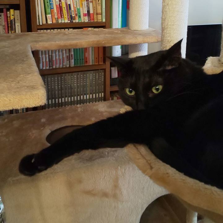 4b381a9e d491 41aa 9201 6026d9d118c1 1709943316678