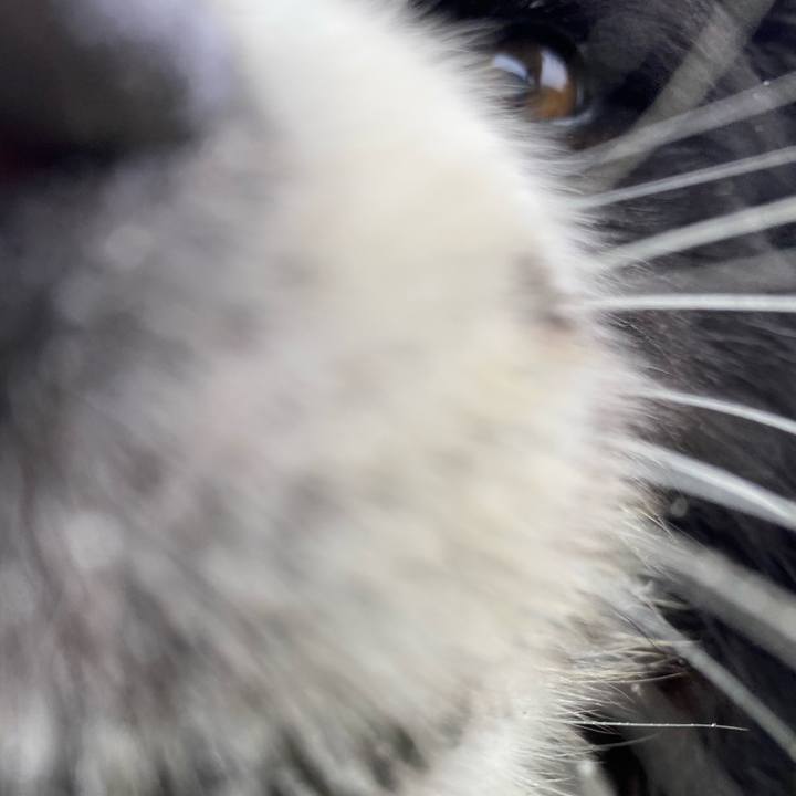 4b382088 be98 4601 bd1c f2cd02f9e8d9 1595552061033