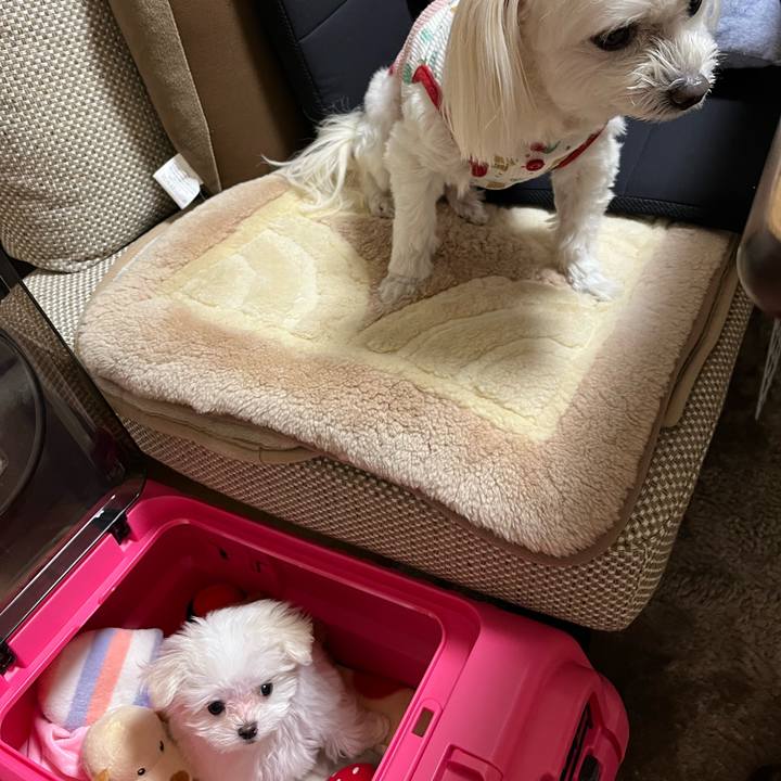 4b382dff 3592 498e b69d 2921d3e1326d 1701172856794