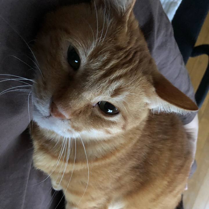 4b387f4e 004d 49c2 911b 94c3ddbb9507 1634630787727