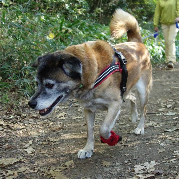 4b38916a a69d 48c5 bcf3 ce4d298228b2 1651107970067