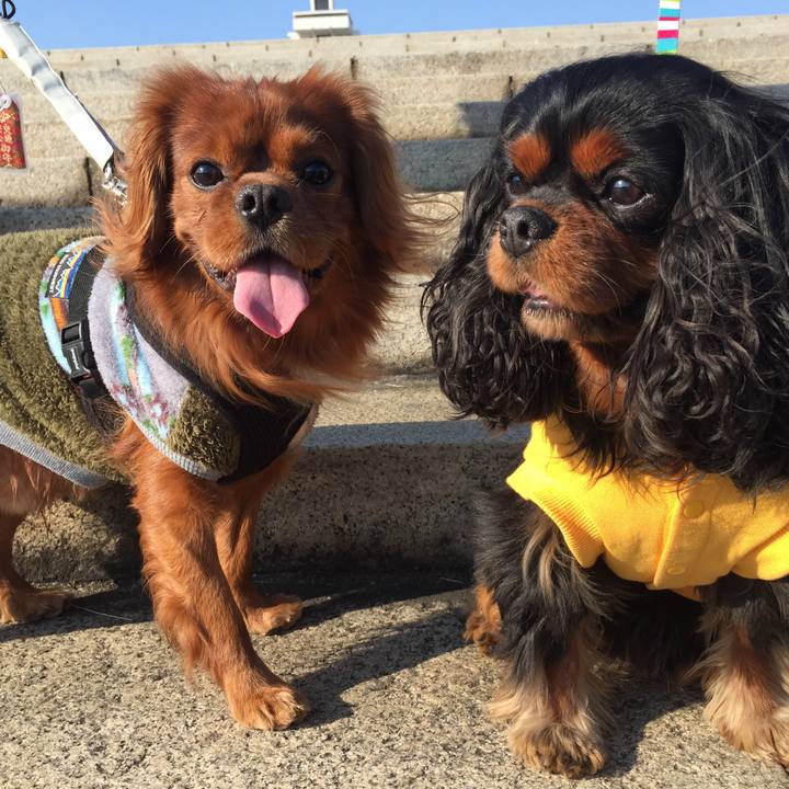 4b38b86f 1ab3 429e b908 377803d69e1d 1518500958673