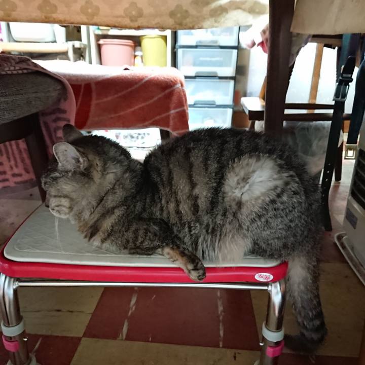 4b38d7e2 753b 48b7 b2eb 554ef369bcbb 1590266827314