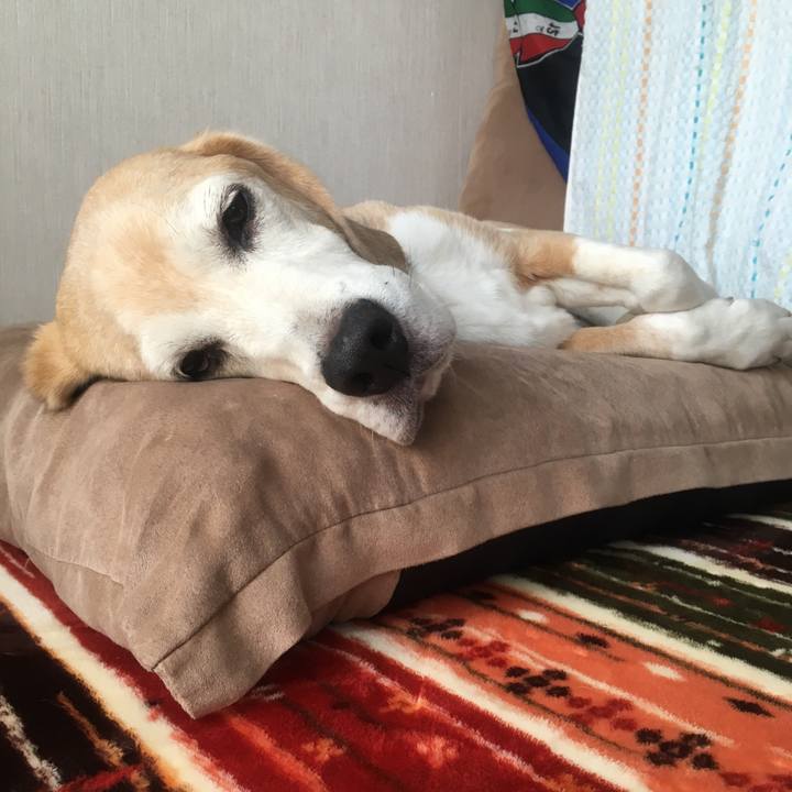 4b38e87a 005a 4f0c 9c2e 0ac39f7003d1 1527410558133