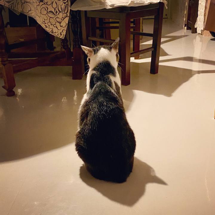 4b38fca1 95cb 4a07 b730 6032e67ac100 1598102769595