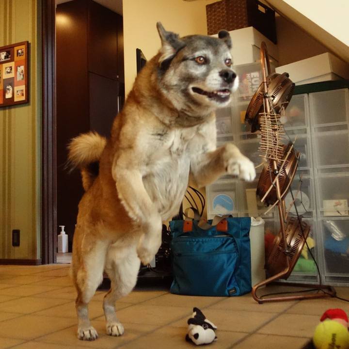 4b3913ad fa34 4e1b a4ef f69e80bc3661 1629762829515