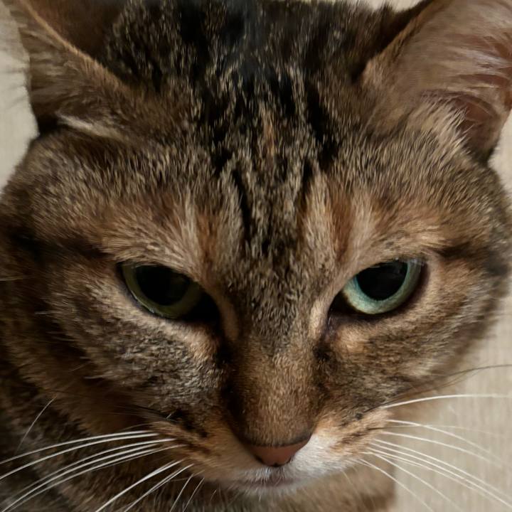 4b39157a 3fb0 442d b496 beec602e6d3e 1708134021184