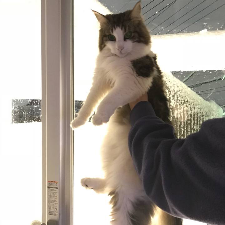 4b392ca4 121e 4457 8978 6b90a4158feb 1516630866017