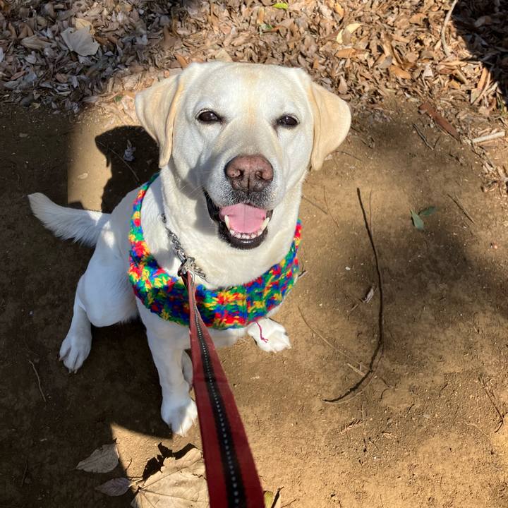 4b394162 f26e 46f3 b97f addfc9fb9bc3 1677936906505