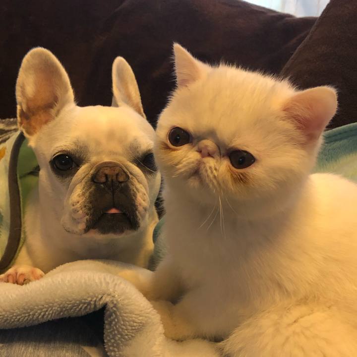 4b395692 f6d9 4db4 9184 00e81bafa3df 1547293405507