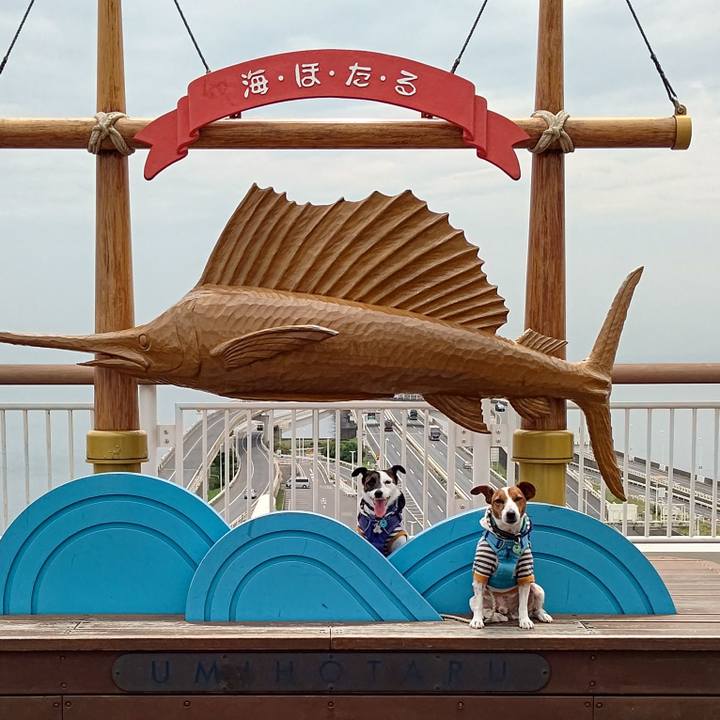 4b3969e6 3263 47bf 8a0b d0fc1604d905 1689326878634