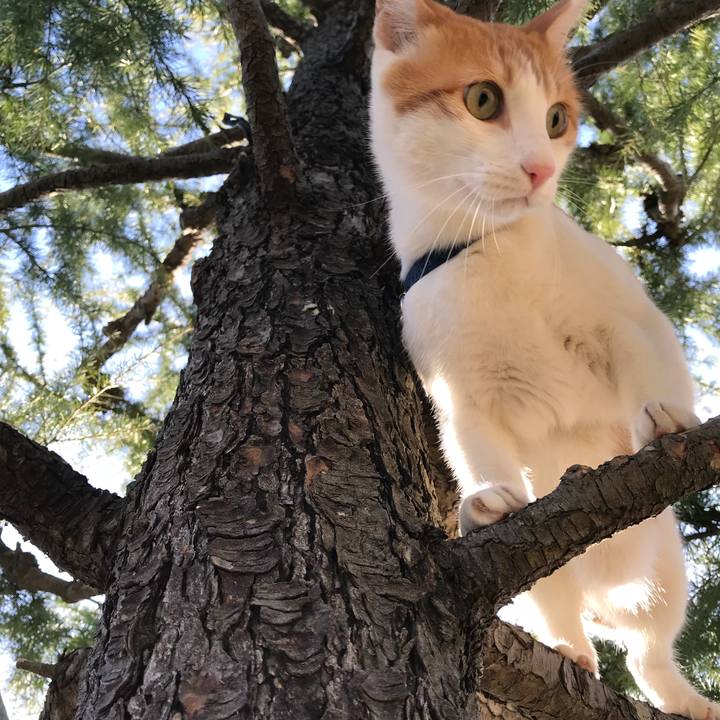 4b3974b5 d4e9 4033 b80f 32cd896681fa 1511756409105