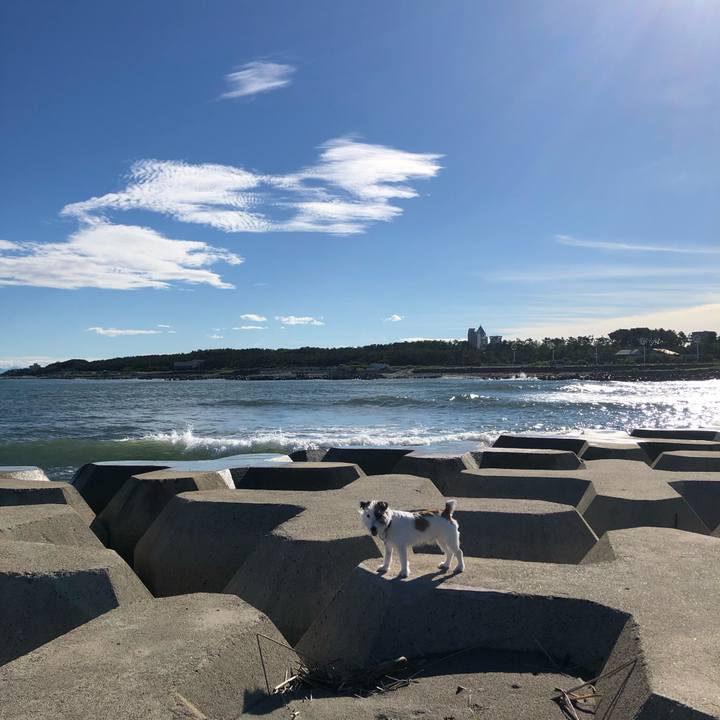 4b397cfb c1ca 4cf7 86bb f0d4e39a406e 1599865974784