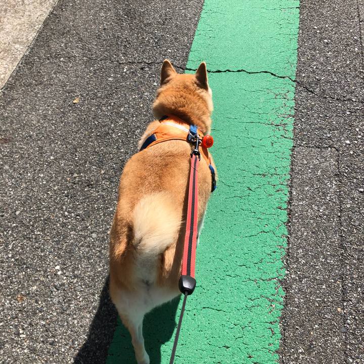 4b397ff0 1e66 4036 9681 c9bcec83c8d3 1600134276853