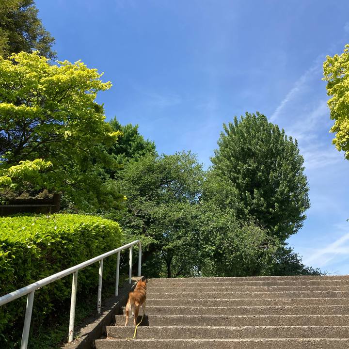 4b3988e3 2095 4703 8a06 3433725bb872 1652153826029