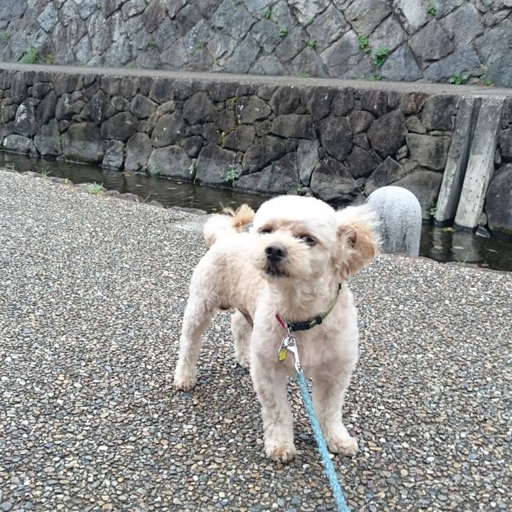 4b399997 ea2b 49c4 97e7 457708bcec69 1565854106075