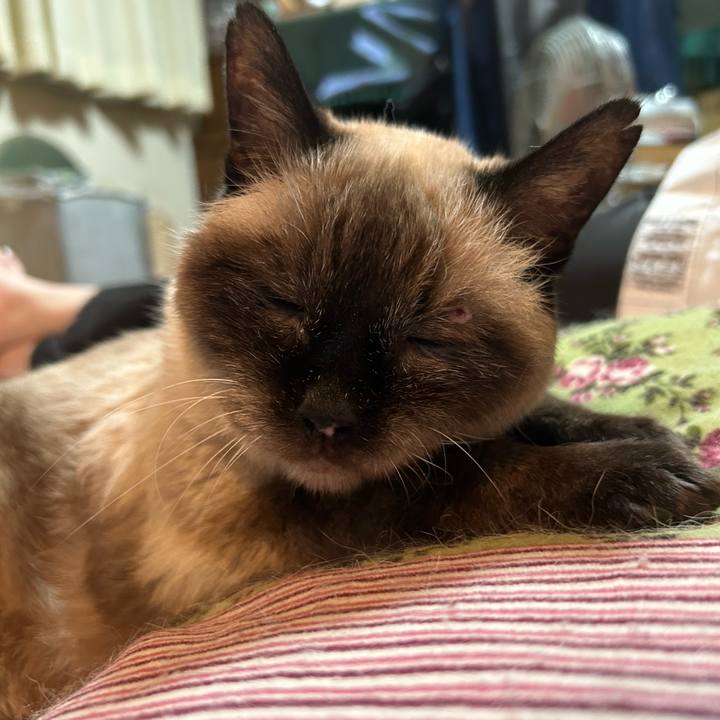 4b39b87a 76ab 4b02 af81 8c602ade2211 1687770780840