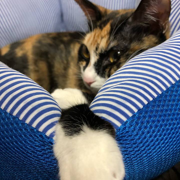 4b39c898 a916 41b4 a299 af5f8e490404 1564491466962