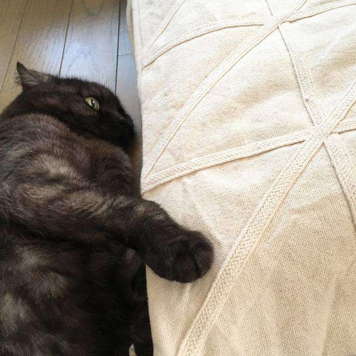 4b3a249a 3f6b 4759 bb32 a57f983f1b53 1558849242452