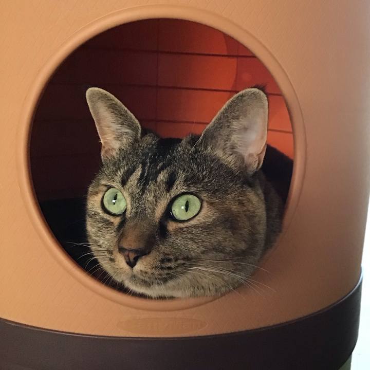 4b3a24a1 7fb2 4065 8afd 87f3134ca70c 1693284682217