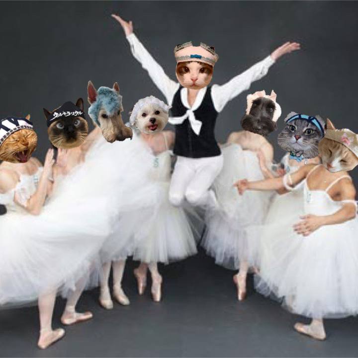 4b3a4c8d 80c9 40a8 81ea 555a995995f3 1570331842772