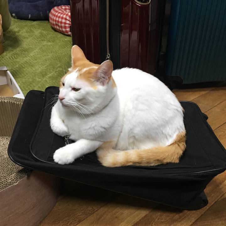 4b3a6f98 c692 4360 8deb 966e08a9dad4 1547043142502