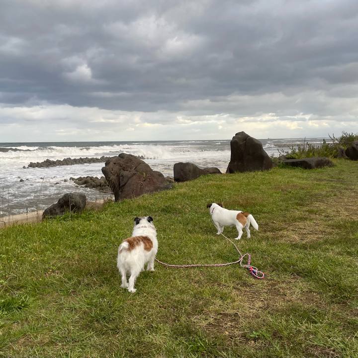 4b3a7613 a04a 4870 9ddb ca50b6f46aae 1729378134506