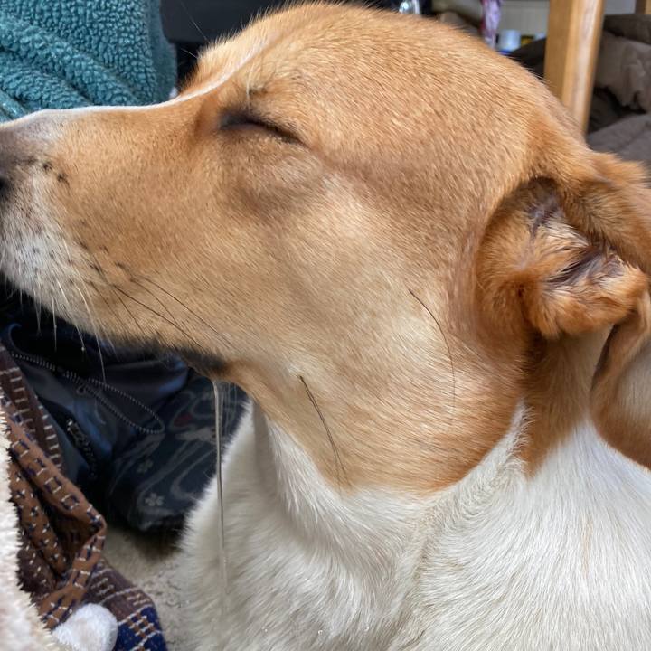 4b3a7df5 ba15 4c17 80bd b0372840b3ea 1635561636062