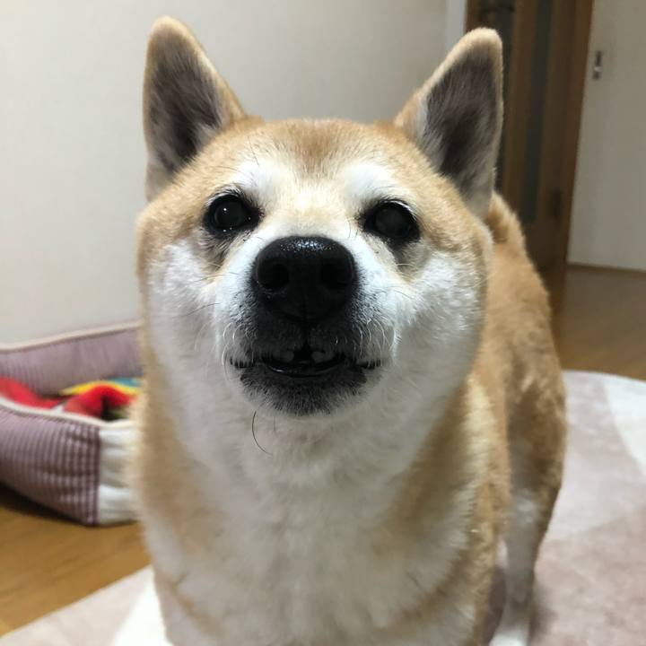 4b3aa3a8 08d1 4349 b029 d024883fcac8 1580703479527