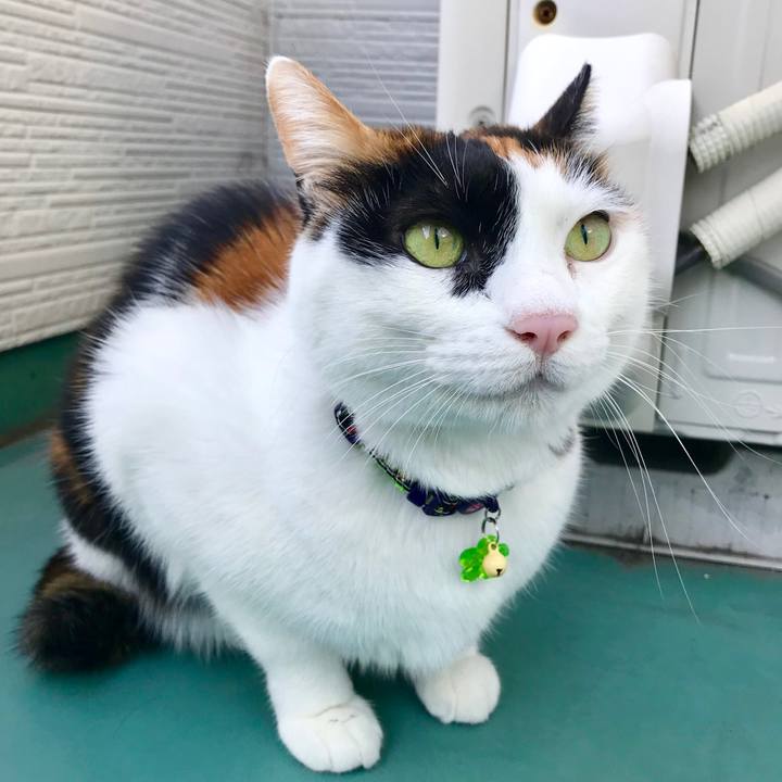 4b3ac2b4 1d3d 4f2e 95d2 edc758da48e7 1516064779798