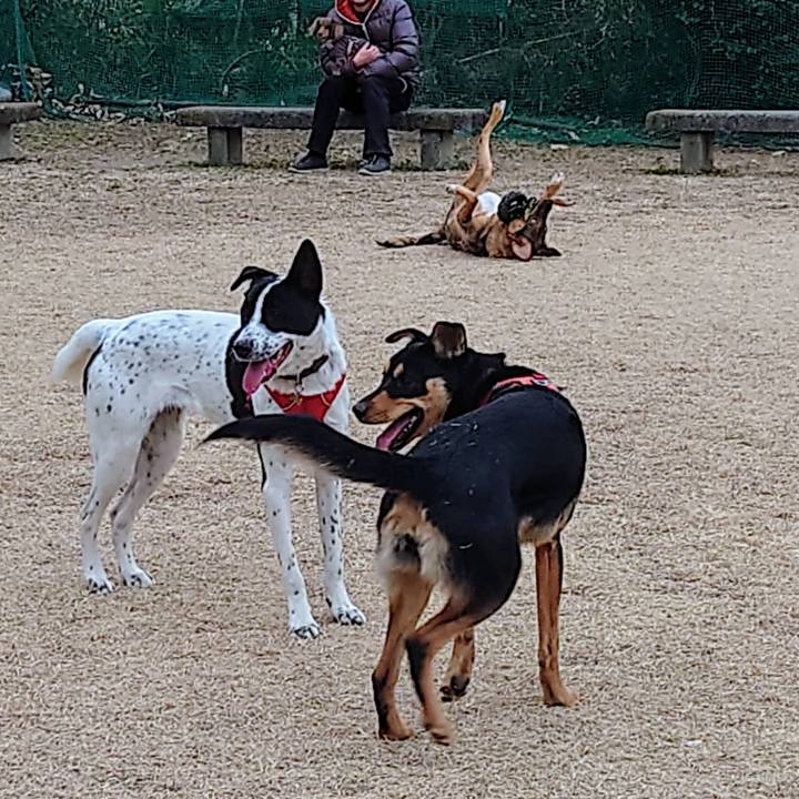 4b3acd73 c14e 41a1 9e74 342c8186023c 1705716929337