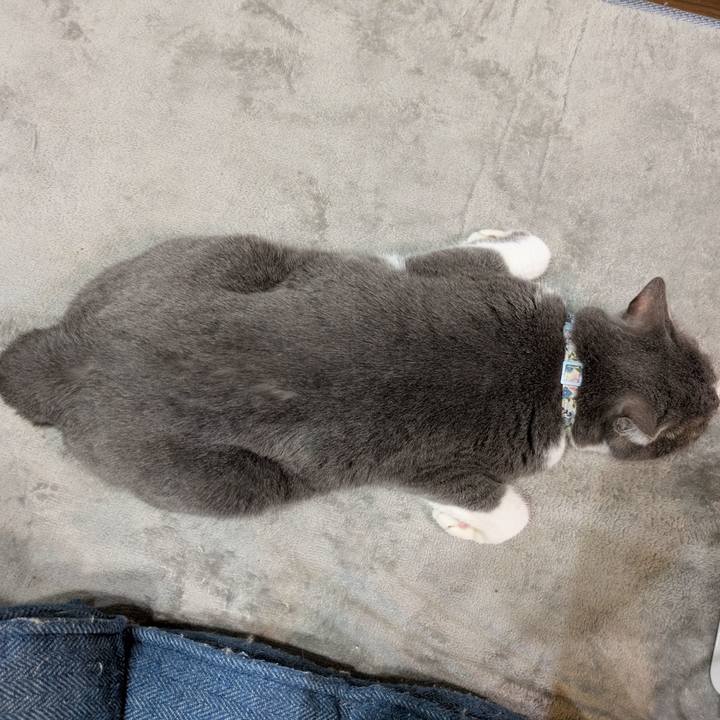 4b3aef1e b601 4a74 af5e aaa5749d1d04 1746955412455