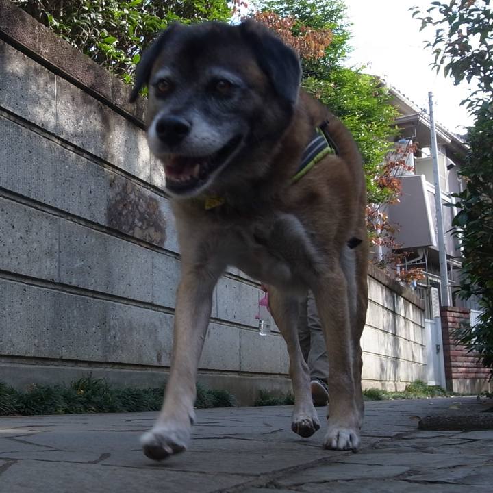 4b3b6153 d4fb 48d4 9555 2fd2a402e0b9 1592354302660