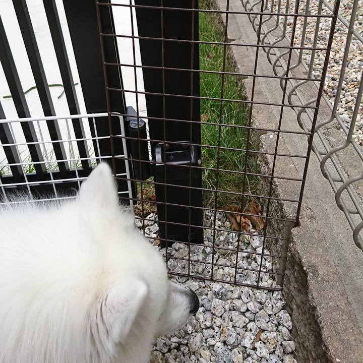 4b3b674c b31f 4d60 b920 8f76a16c24a8 1542002259085