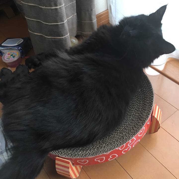 4b3b79af a415 4c24 af0f 0324bcfe9abf 1527220676365