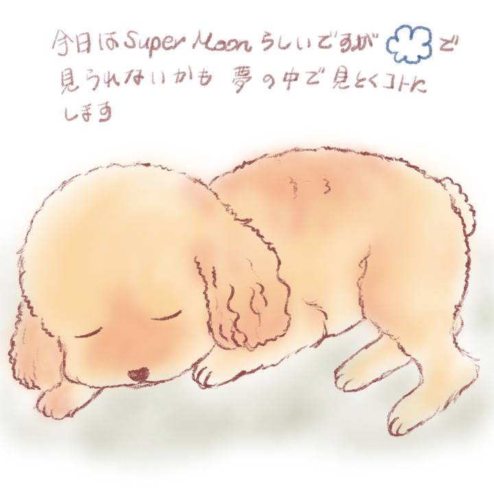 4b3bcf3f a61e 430b ae0d b2d5a4fc87ab 1622027555115