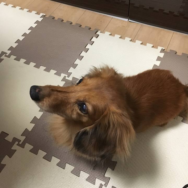 4b3bd1f5 6ad6 429a bbf7 335926a2898e 1546605434580