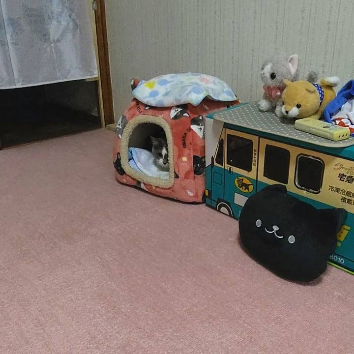 4b3bfb25 1644 4ac8 98e7 32acd679e68a 1571613524523