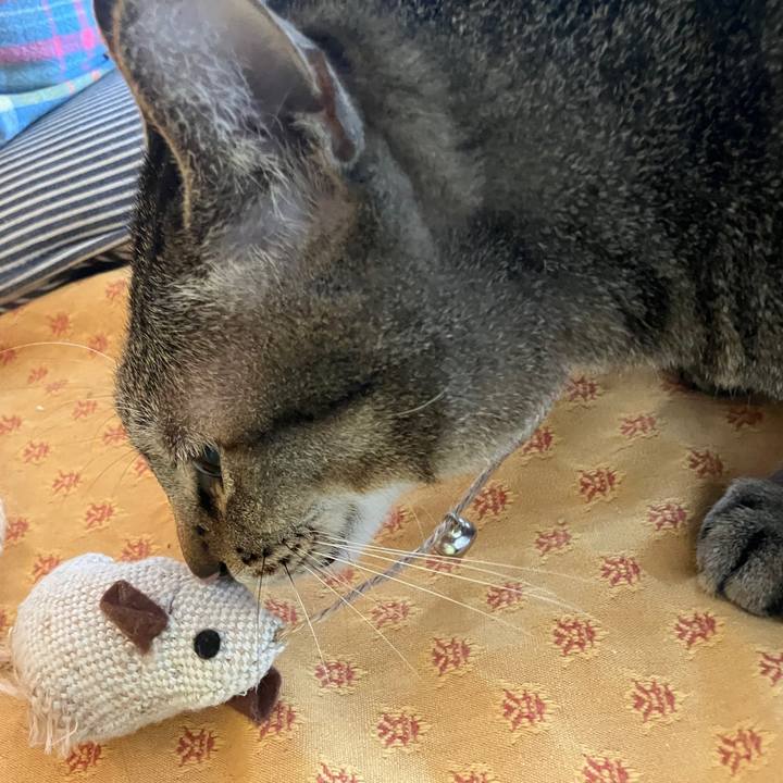 4b3c04d9 9210 4df1 9664 182bf8ca7bb3 1772319024398