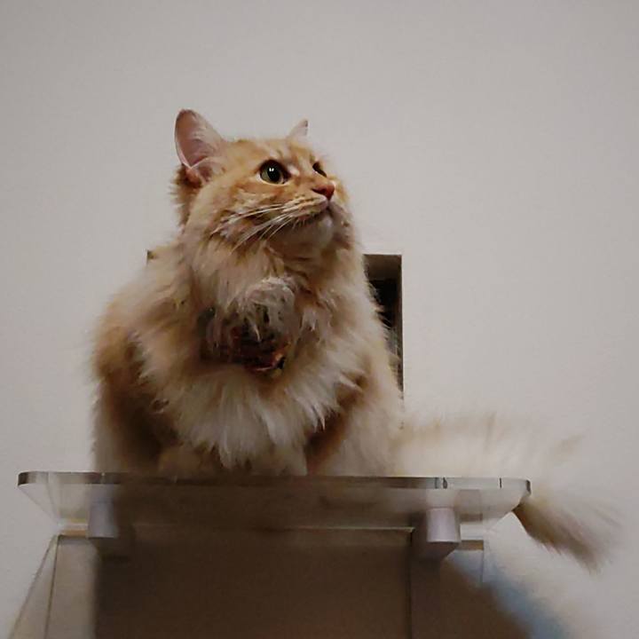 4b3c0b21 8c0b 42e3 a467 bc7c8de9728c 1683814277758