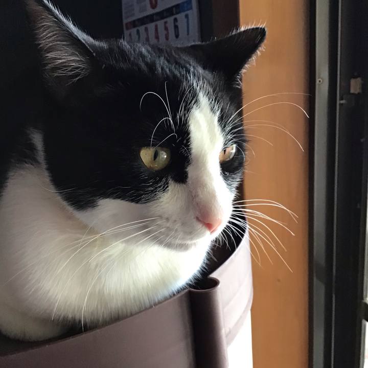 4b3c0f99 023c 4fb0 93a0 cb127296d246 1653204510503