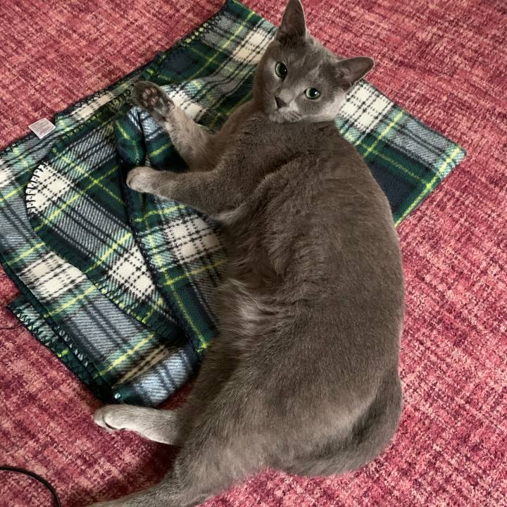 4b3c3c64 e977 41cb b9b1 ed2d35144a91 1593299149101