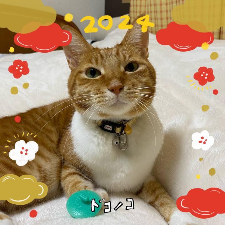 4b3c3d04 7358 4246 b04c 06537973f3c5 1704668761331