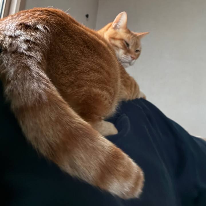 4b3c8877 1bc8 409f 9aff 4d3de1aaa7c8 1745611604969