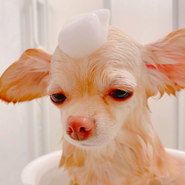 4b3c9771 32c3 4601 b2b5 a58a3f0a4629 1643103621206