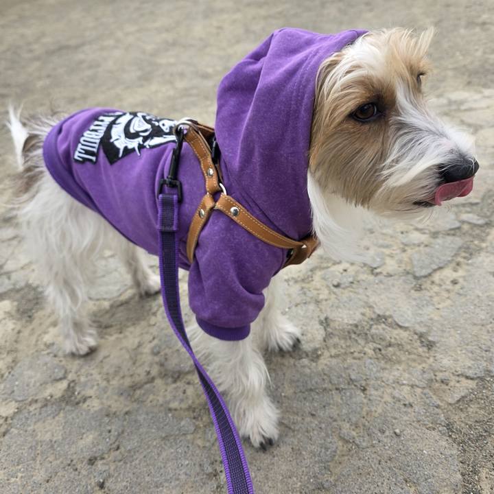 4b3cc34c 771a 423a b8c1 74c1b5f5ea86 1769767302896